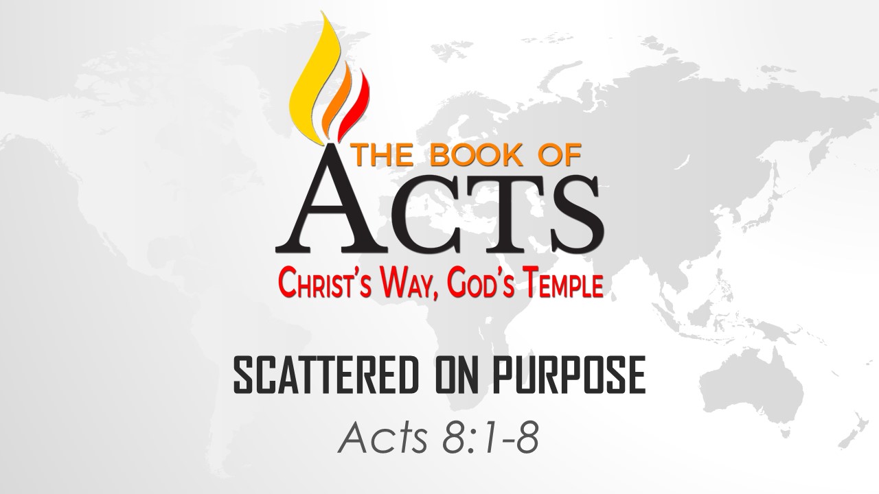 Scattered on Purpose