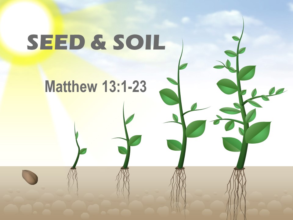 Seed & Soil