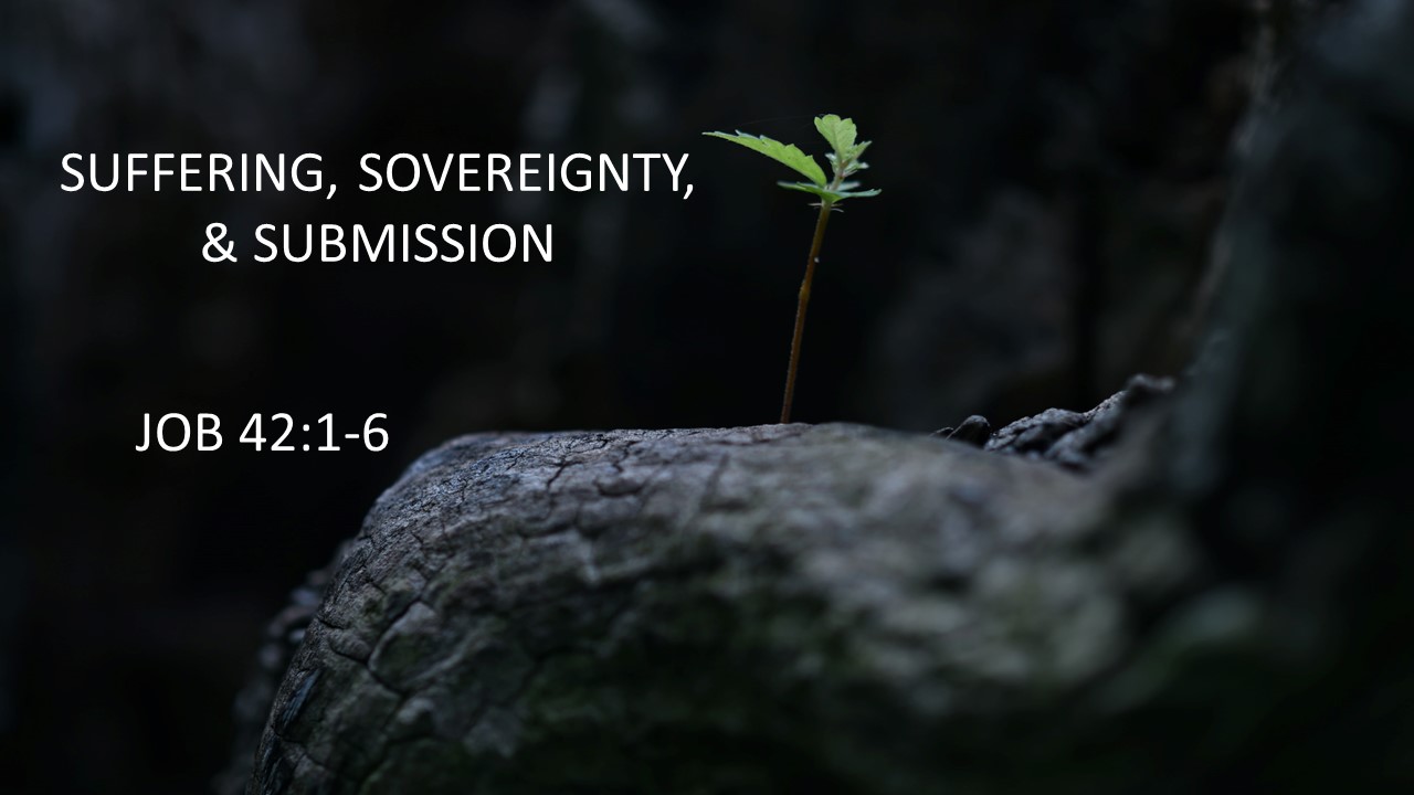 Suffering, Sovereignty, & Submission