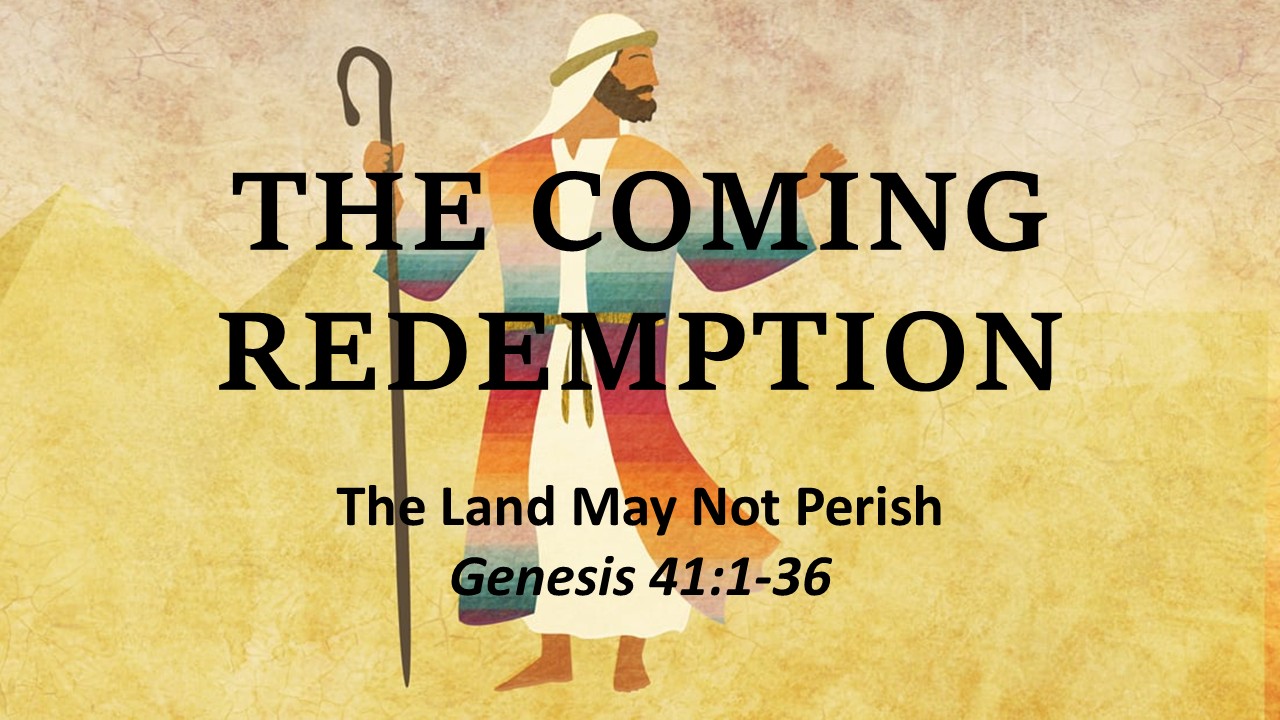 The Land May Not Perish