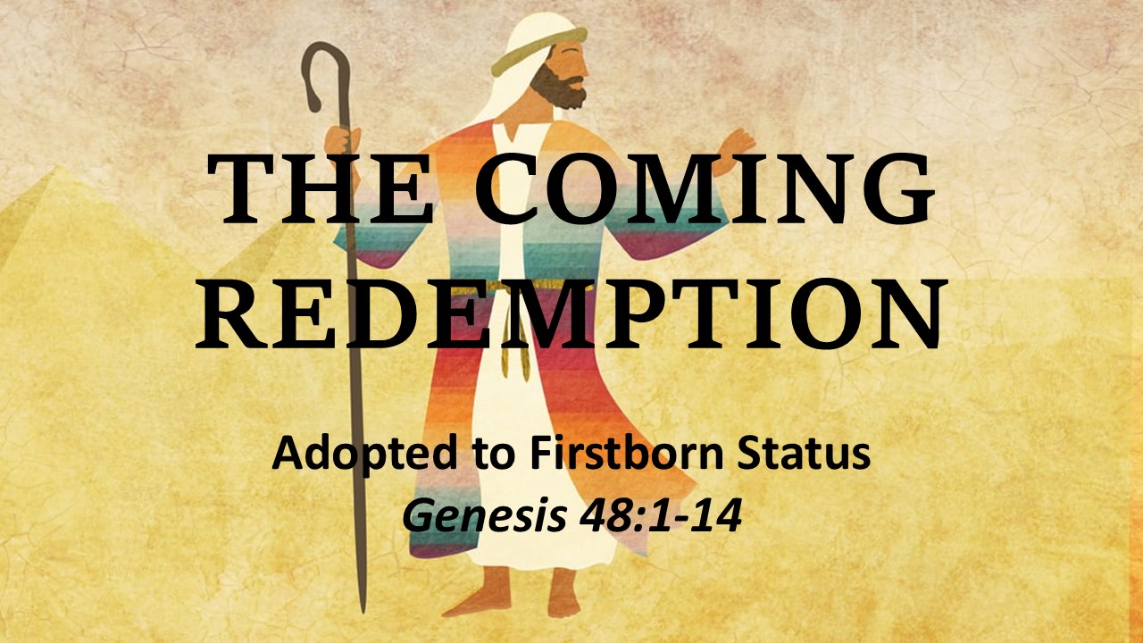 Adopted to Firstborn Status